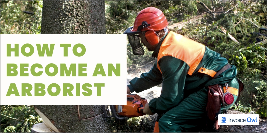 How to Become an Arborist: A Step-By-Step Guide